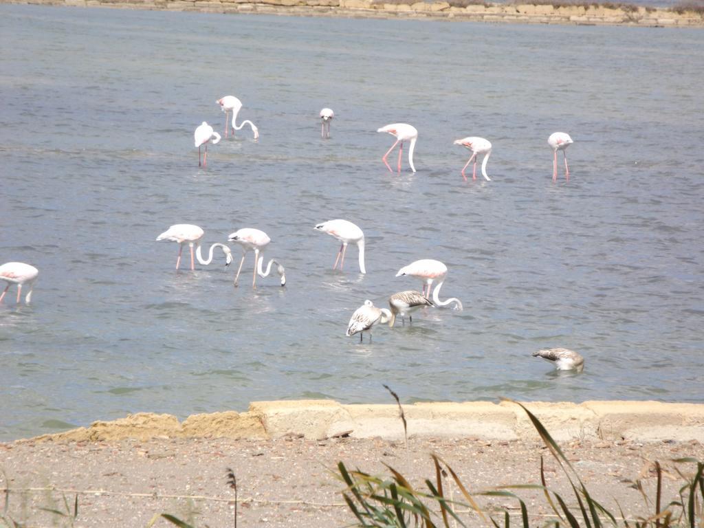 Case Vacanza Torre Lupa Marsala Oda fotoğraf