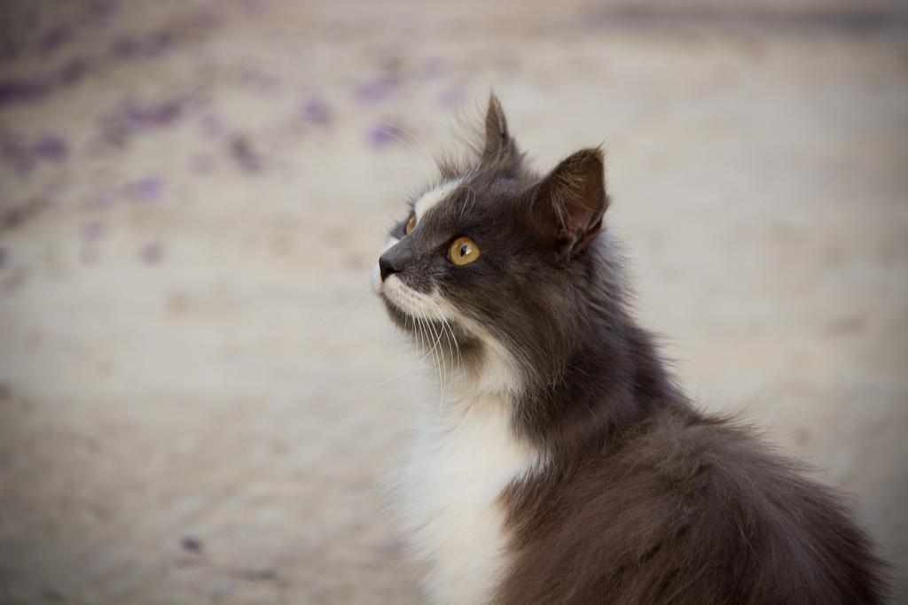 Case Vacanza Torre Lupa Marsala Dış mekan fotoğraf